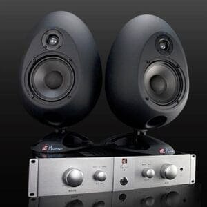 sE Electronics sE/Munro Egg 150