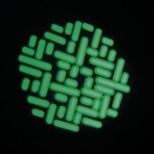 Showtec Micro Spot LED Moving Head-4480