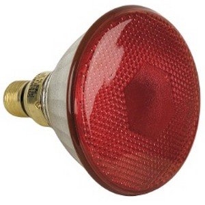 Par 38 SYLVANIA 80W E27 Socket Rood Geen categorie J&H licht en geluid