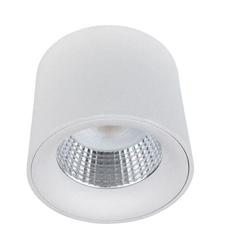 Artecta Pasto-R WW – Plafondspot met een 11W warm witte LED _Uit assortiment J&H licht en geluid