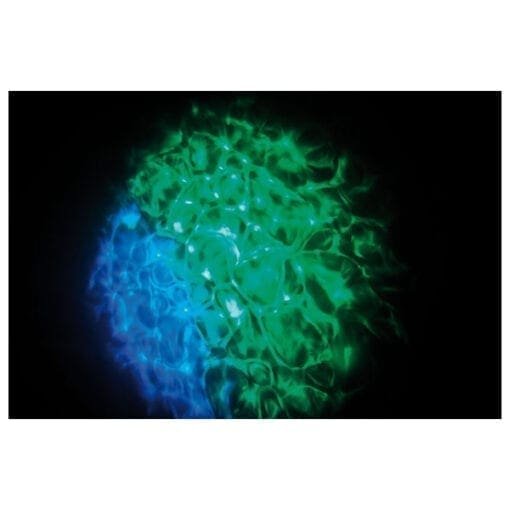 Showtec Hydrogen DMX MKII, Watersimulerend LED lichteffect Effectverlichting J&H licht en geluid 8