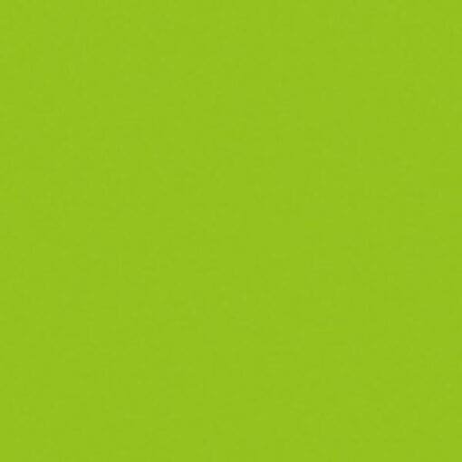 Showtec Handheld confetti kanon (50 cm) – lichtgroen Draagbare confetti-kanonnen J&H licht en geluid 2