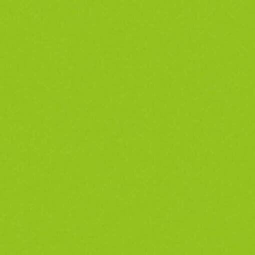 Showtec Handheld streamer kanon (50 cm) – lichtgroen Draagbare confetti-kanonnen J&H licht en geluid 2
