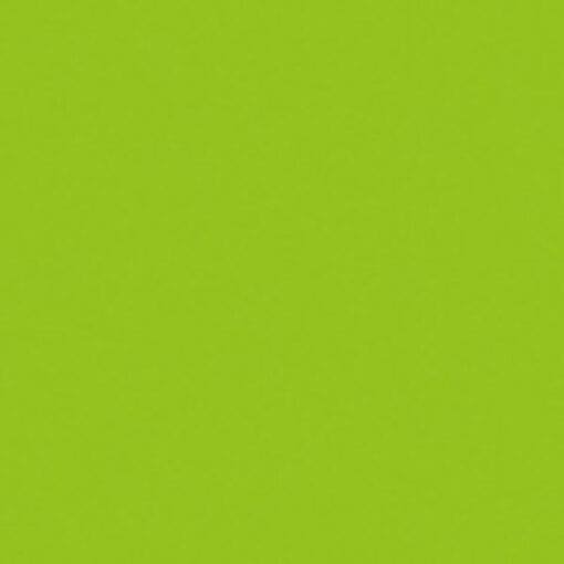 Showtec Handheld confetti kanon Pro (80 cm) – lichtgroen Draagbare confetti-kanonnen J&H licht en geluid 2