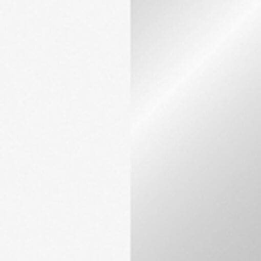Showtec Handheld confetti kanon Pro (80 cm) – wit / zilver Draagbare confetti-kanonnen J&H licht en geluid 2