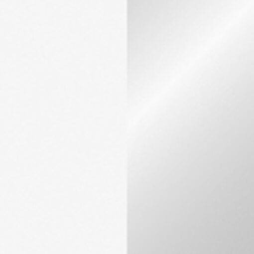 Showtec Elektrisch streamer kanon (50 cm) – wit / zilver Elektrische confetti-kanonnen J&H licht en geluid 2