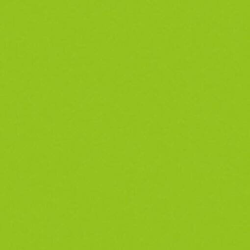 Showtec Elektrisch confetti kanon Pro (80 cm) – lichtgroen Elektrische confetti-kanonnen J&H licht en geluid 2