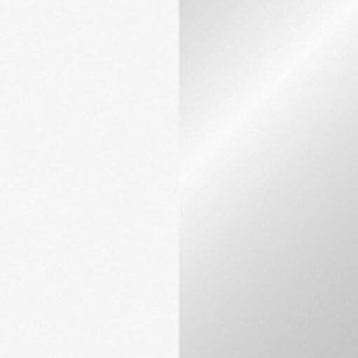 Showtec Elektrisch streamer kanon Pro (80 cm) – wit / zilver Elektrische confetti-kanonnen J&H licht en geluid 2