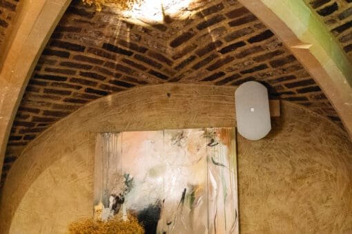 DAP WMS8T-W Audio J&H licht en geluid 11