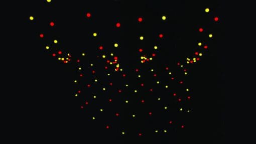 SHOWTEC Festoon Q4 String IP65 20 pixels, 15 m Decoratieve verlichting J&H licht en geluid 5