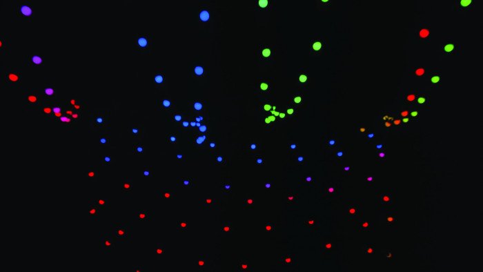 SHOWTEC Festoon Q4 String IP65 20 pixels, 15 m Decoratieve verlichting J&H licht en geluid 6 SHOWTEC Festoon Q4 String IP65 20 pixels, 15 m Decoratieve verlichting J&H licht en geluid 6