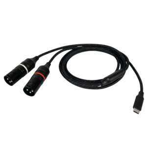DAP FL115 – USB-C naar 2 Galvanisch Gescheiden XLR/M 3 P Kabels en aansluitingen J&H licht en geluid