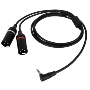 DAP FL118 75 cm haakse 3,5 mm TRS naar 2x XLR male kabel
