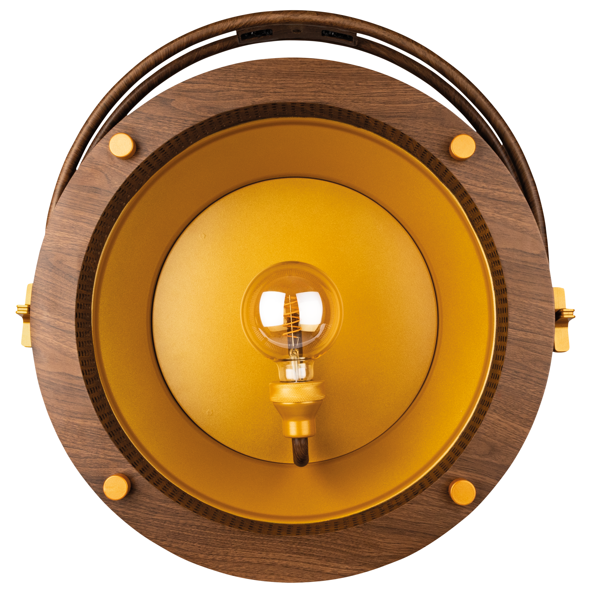Showtec Edison Vintage 1 retro E27 DMX LED-lampbehuizing Retro verlichting J&H licht en geluid Showtec Edison Vintage 1 retro E27 DMX LED-lampbehuizing Retro verlichting J&H licht en geluid